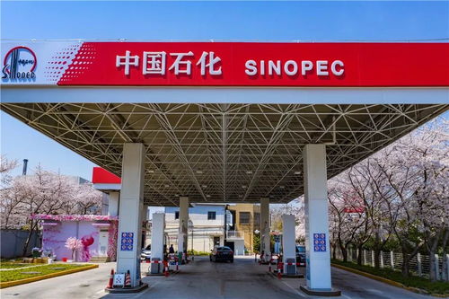 中國石化37周年慶 在能源領域譜寫華章，租賃市場見證發展足跡